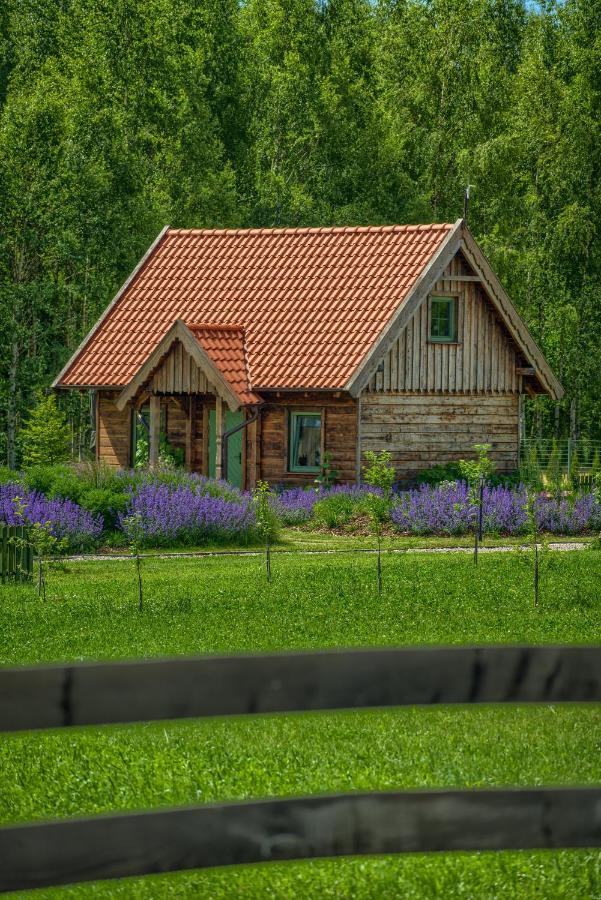 Zielone Lawki Villa Ryn  Luaran gambar